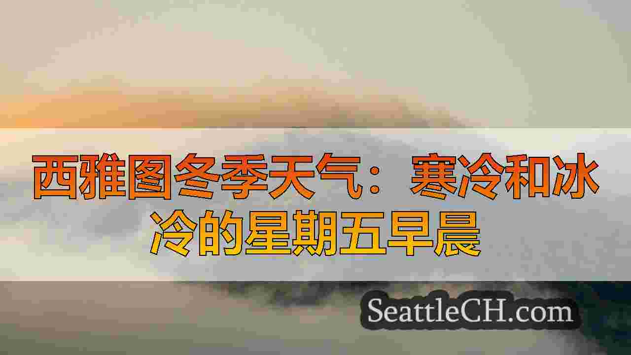 西雅图新闻 SeattleCH