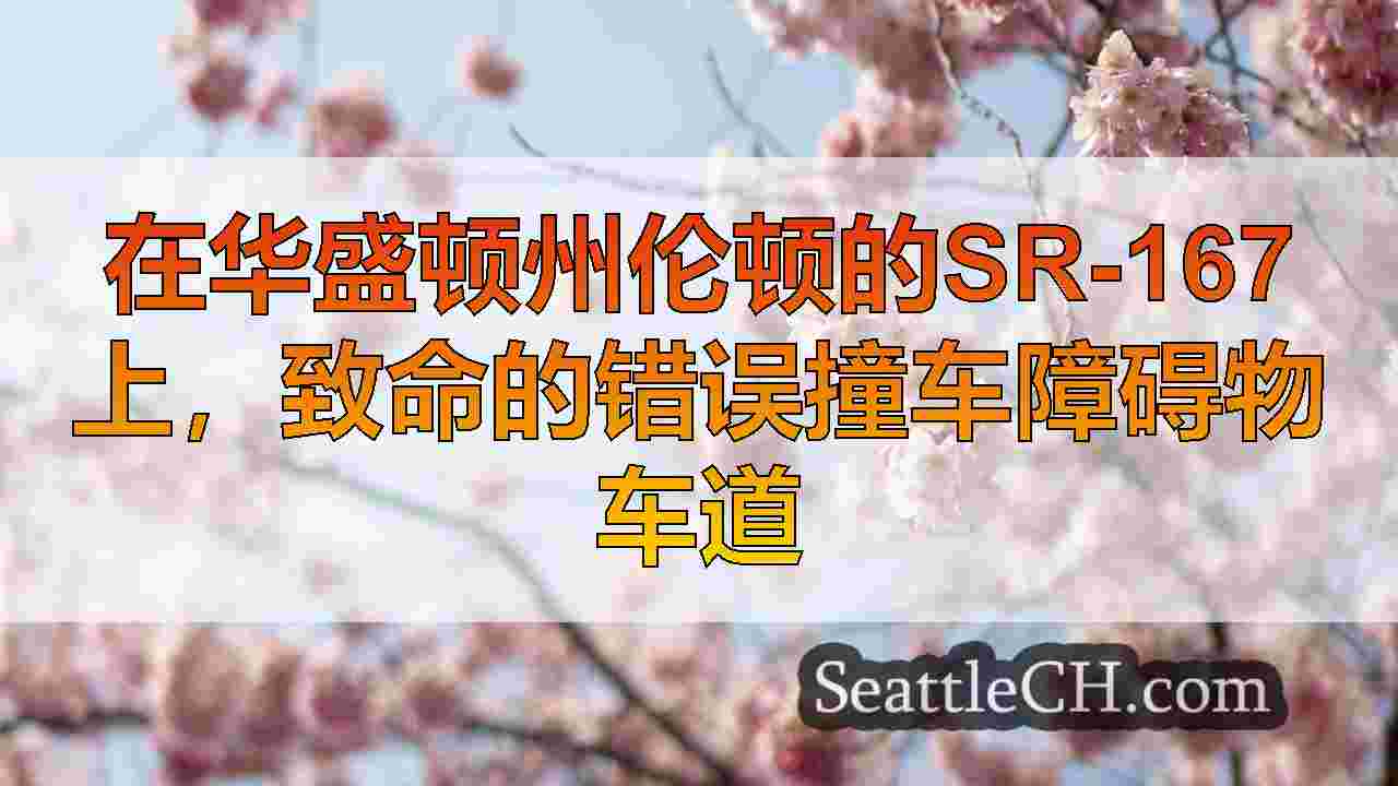 西雅图新闻 SeattleCH