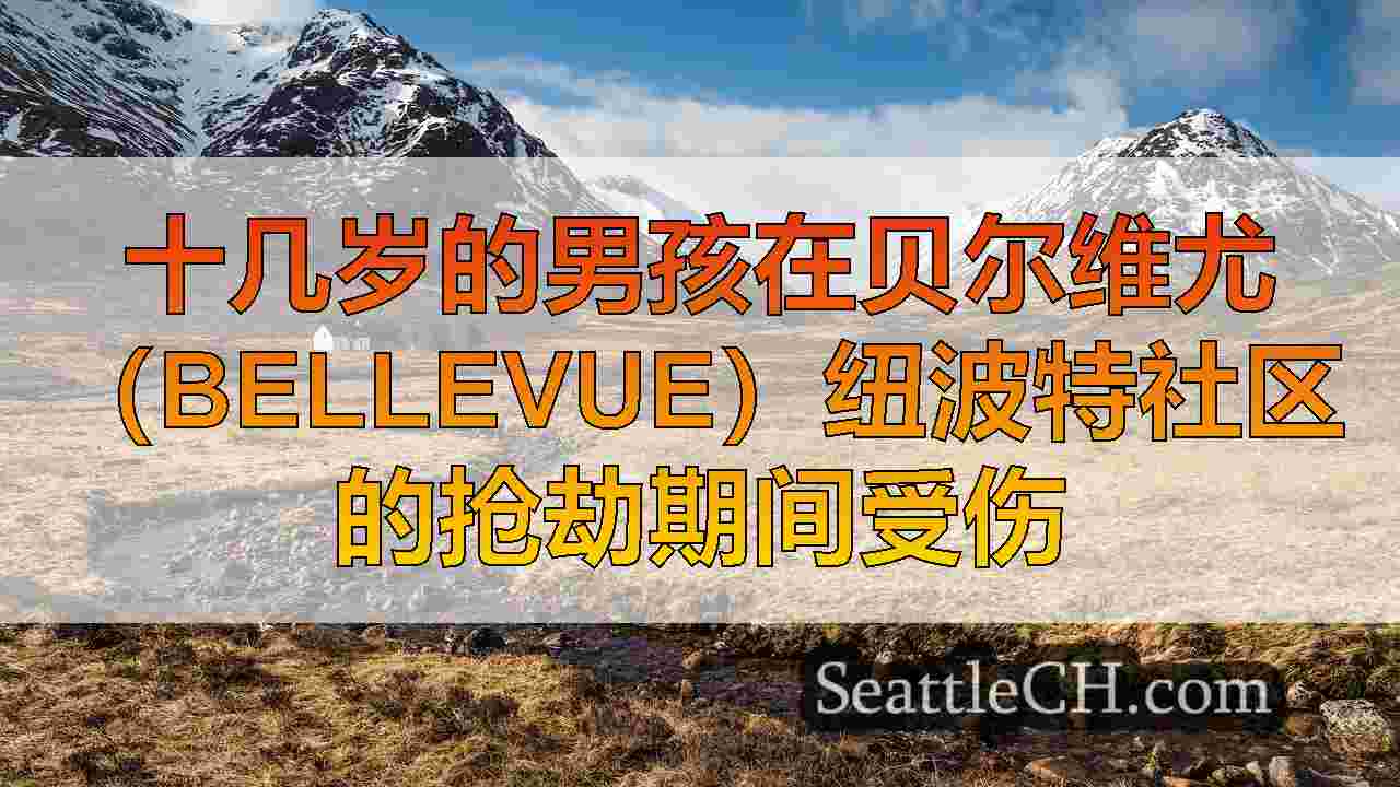 西雅图新闻 SeattleCH