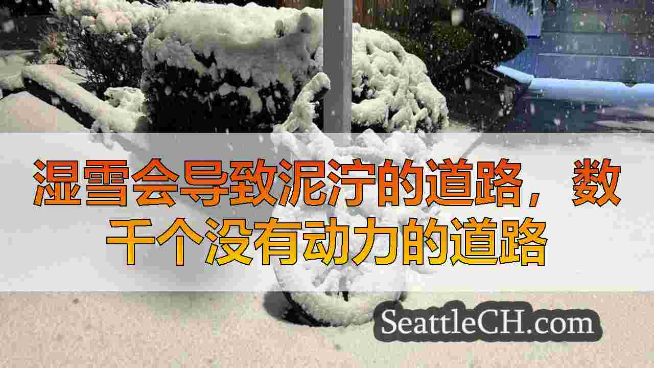 湿雪会导致泥泞的道路，数千个没有动力的道路