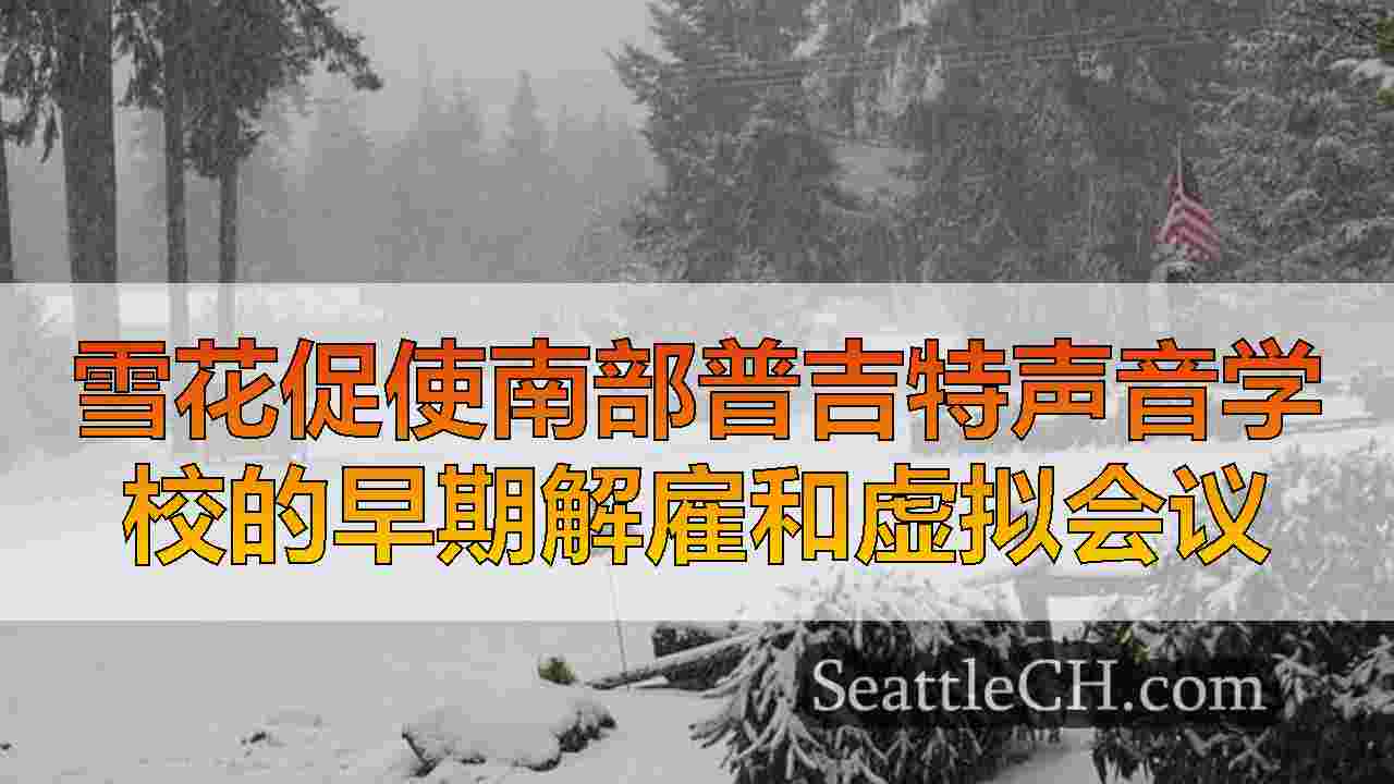 西雅图新闻 SeattleCH