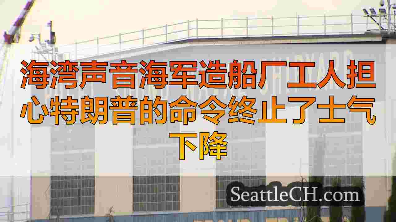 海湾声音海军造船厂工人担心特朗普的命令终止了士气下降