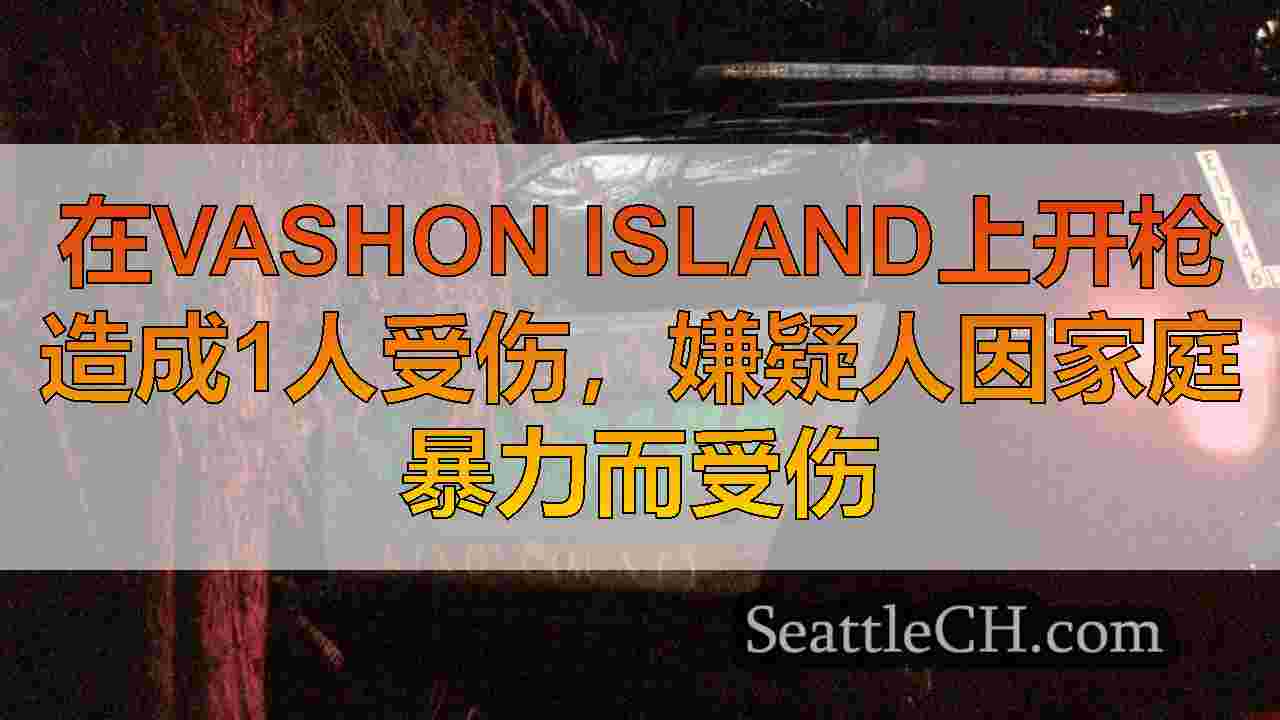 在Vashon Island上开枪造成1人受伤，嫌疑人因家庭暴力而受伤