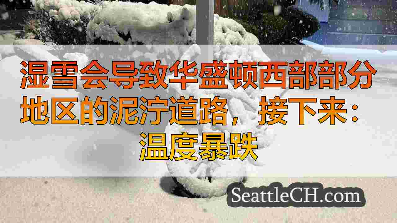湿雪会导致华盛顿西部部分地区的泥泞道路，接下来：温度暴跌