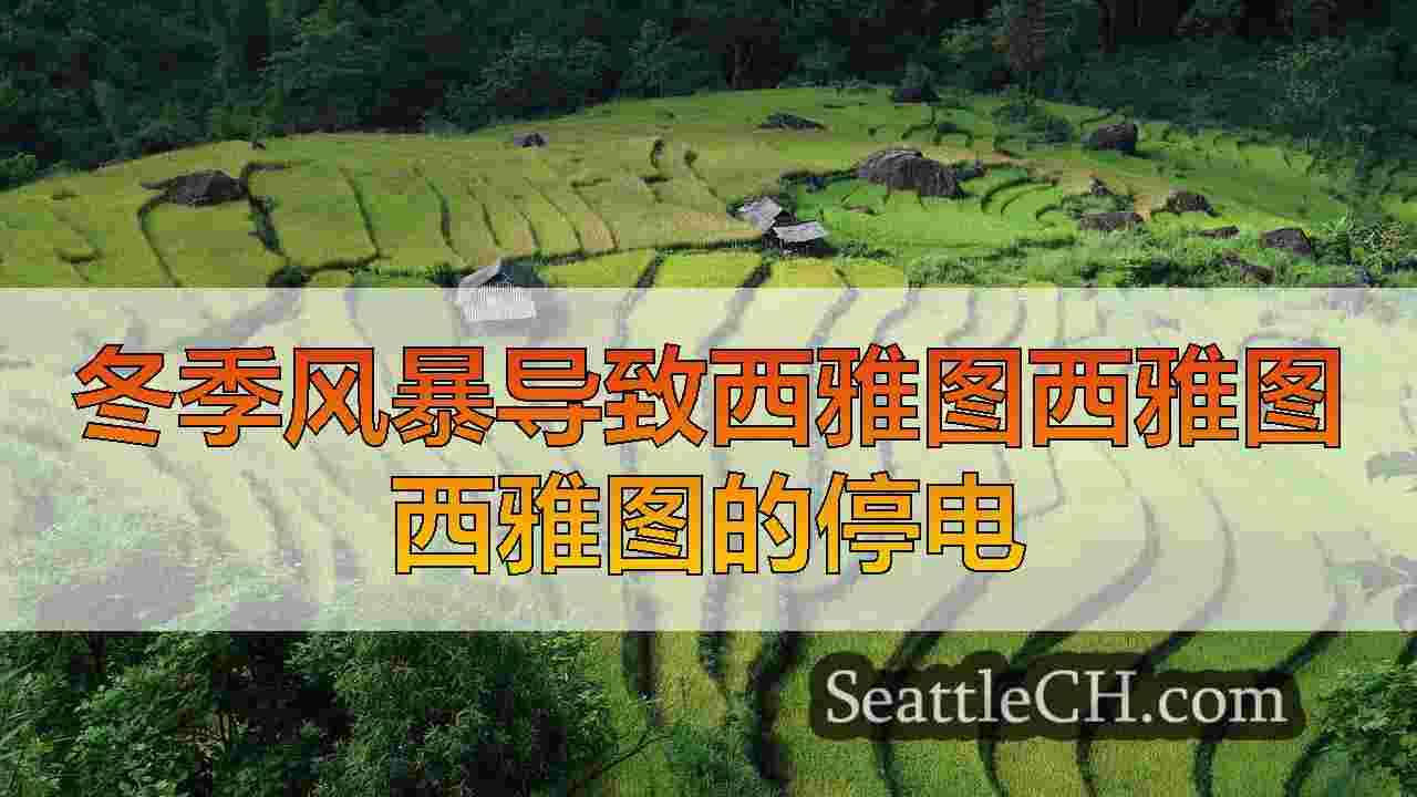 西雅图新闻 SeattleCH