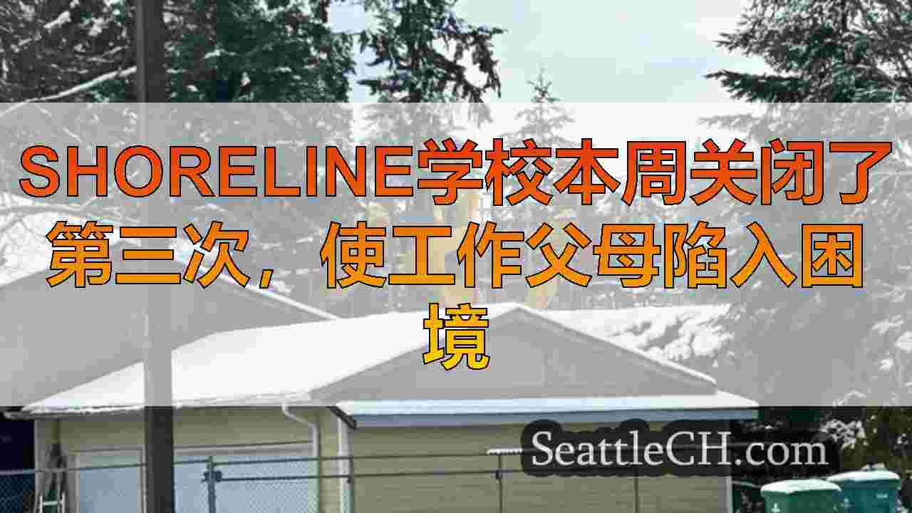 西雅图新闻 SeattleCH