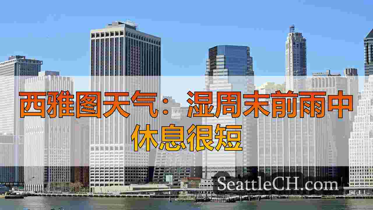 西雅图新闻 SeattleCH