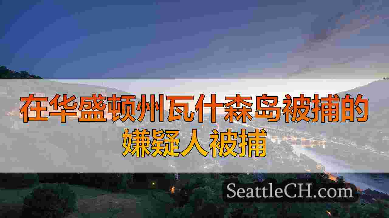 西雅图新闻 SeattleCH