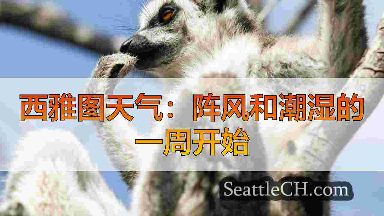 西雅图新闻 SeattleCH