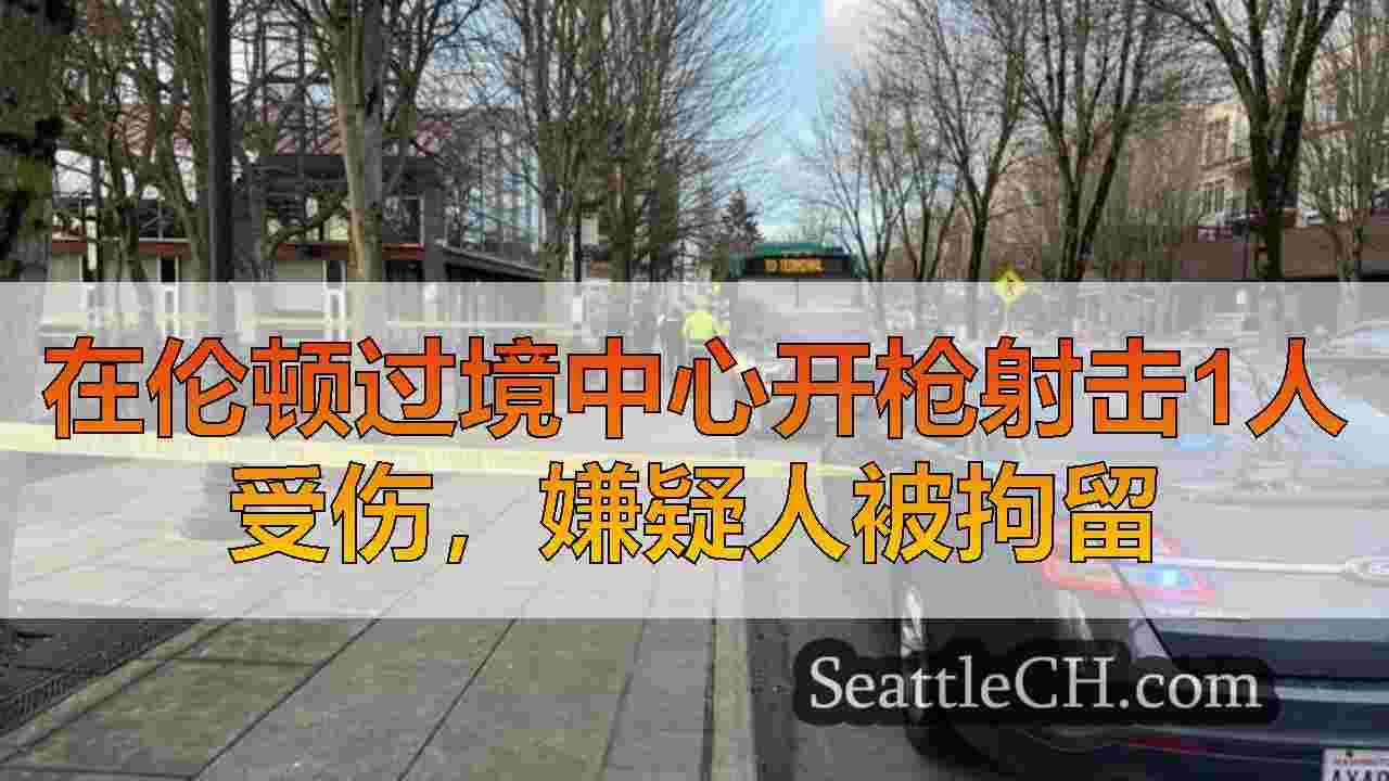 西雅图新闻 SeattleCH