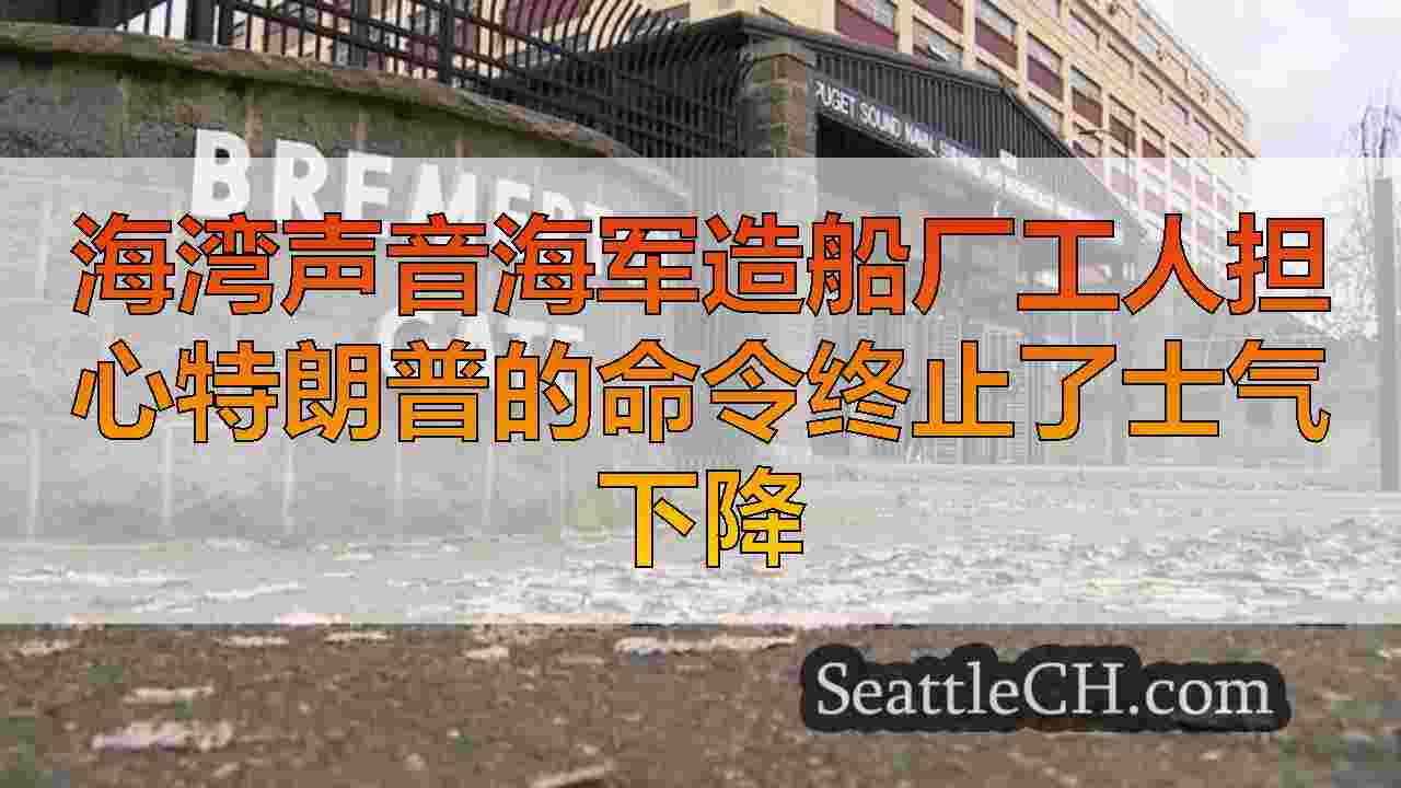 西雅图新闻 SeattleCH