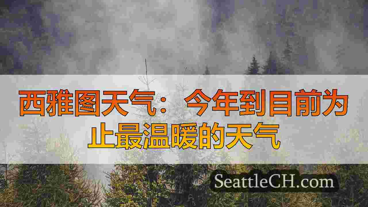 西雅图新闻 SeattleCH