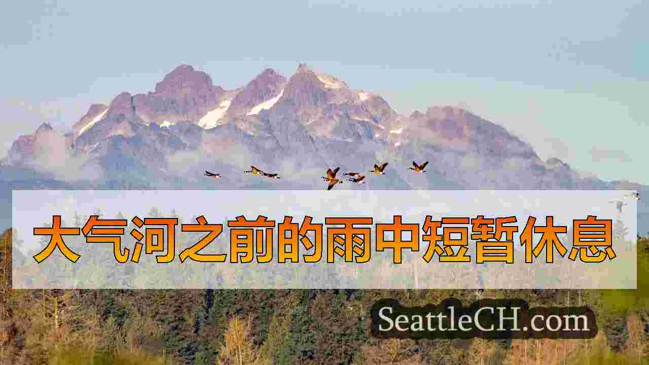 西雅图新闻 SeattleCH