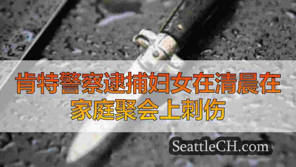 肯特警察逮捕妇女在清晨在家庭聚会上刺伤