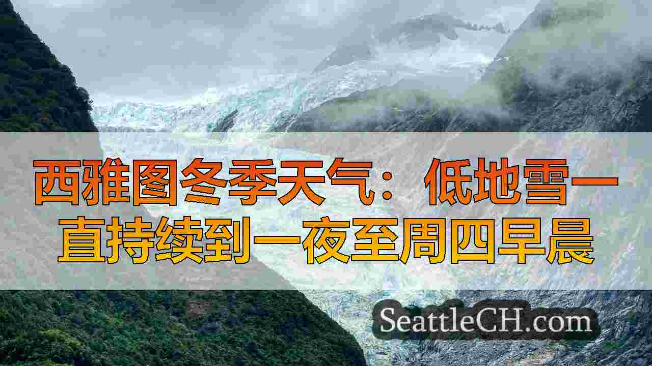 西雅图新闻 SeattleCH