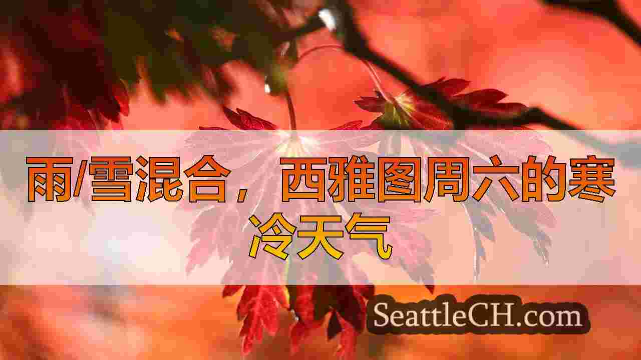 西雅图新闻 SeattleCH