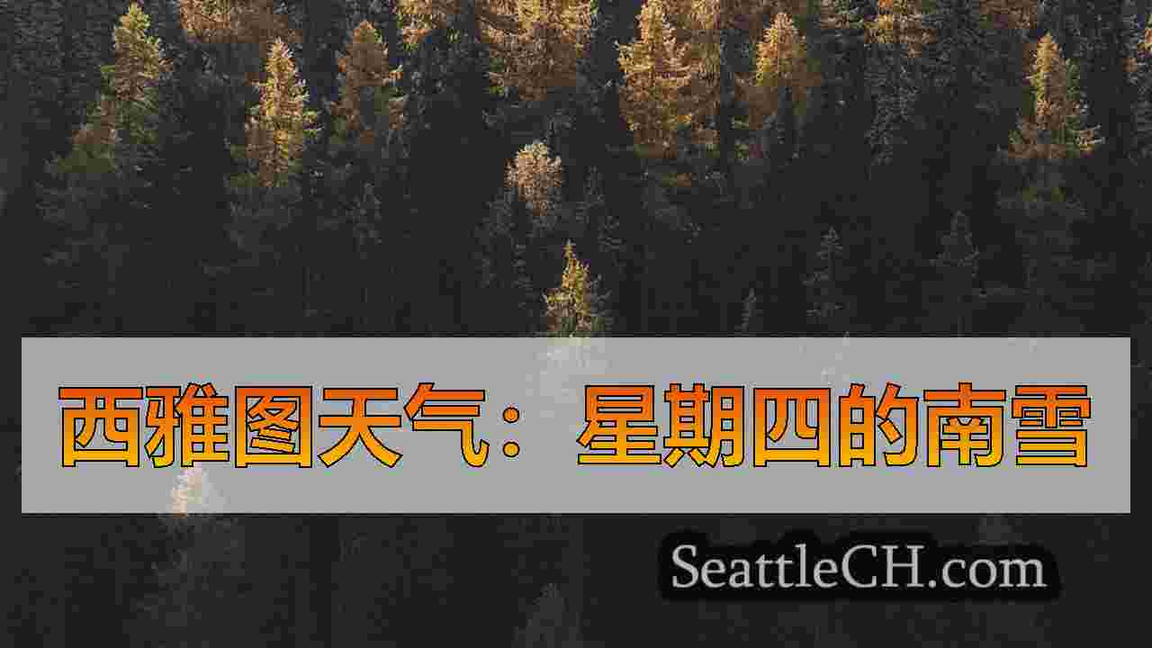 西雅图新闻 SeattleCH