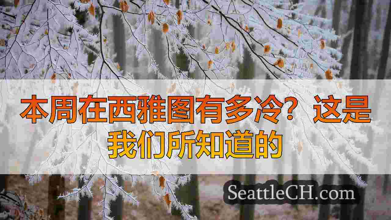 西雅图新闻 SeattleCH
