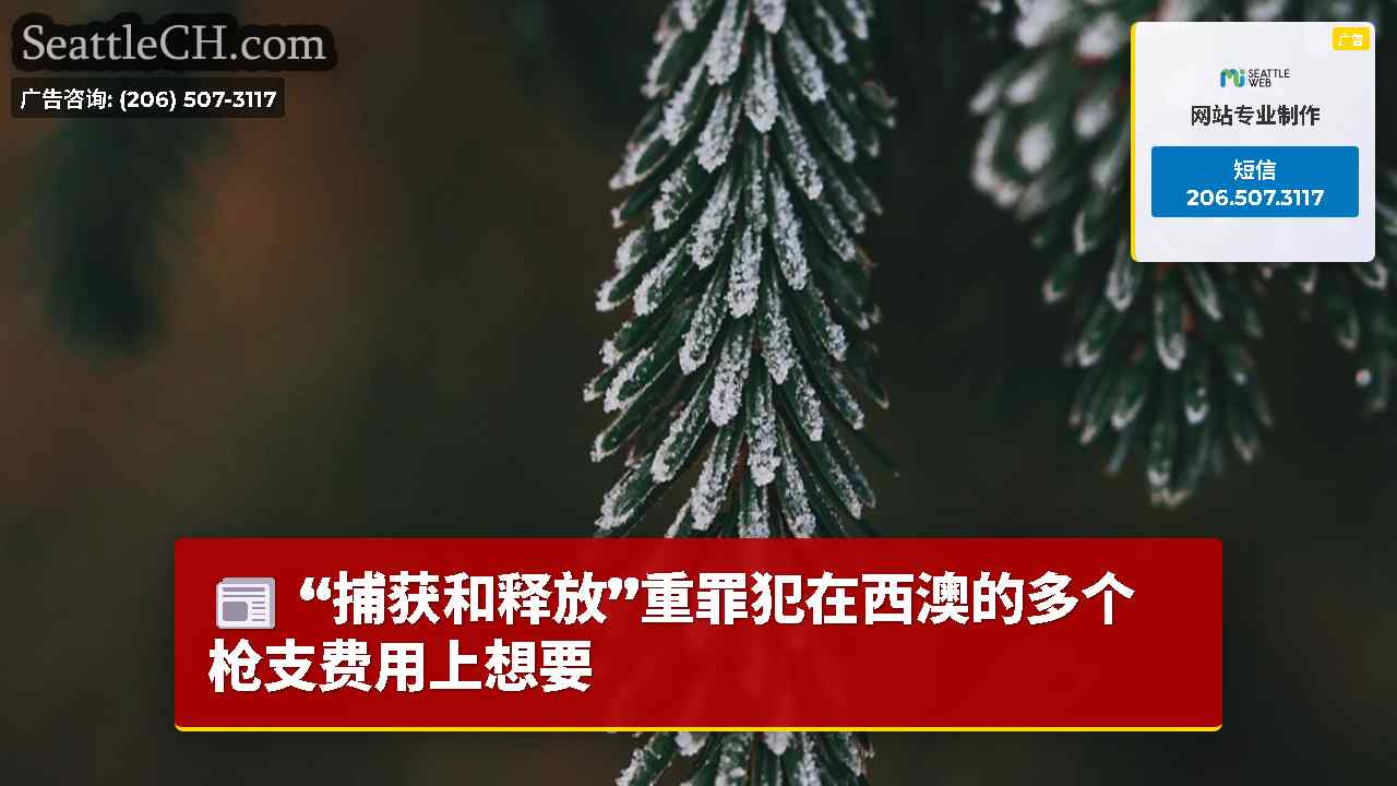 西雅图新闻 SeattleCH