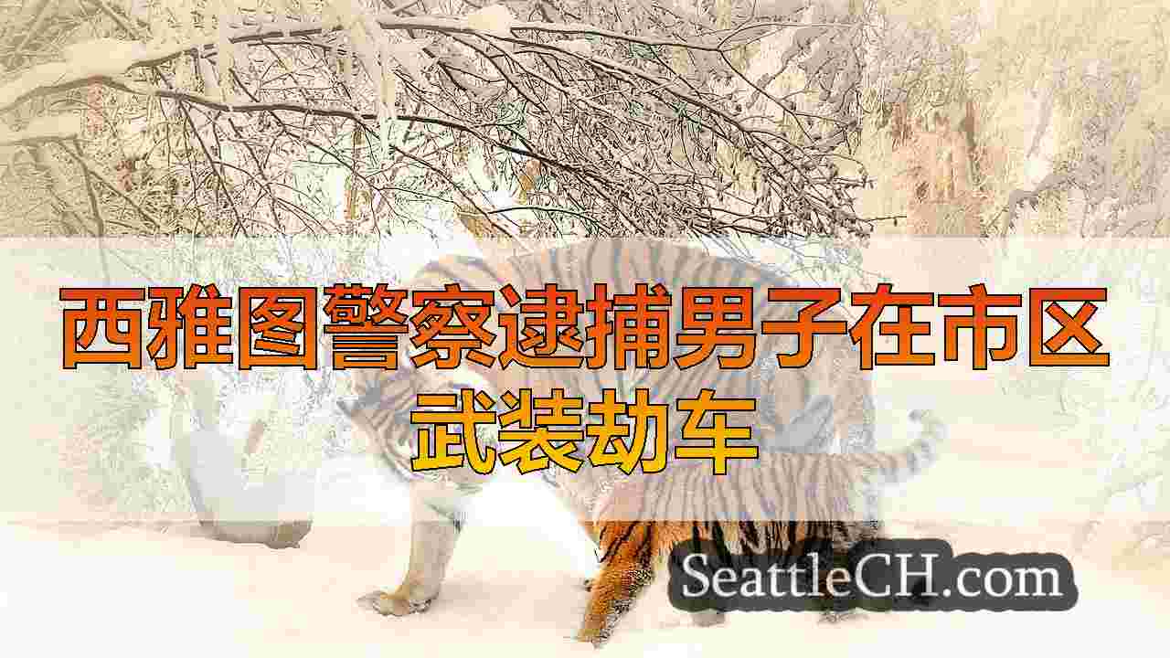 西雅图新闻 SeattleCH
