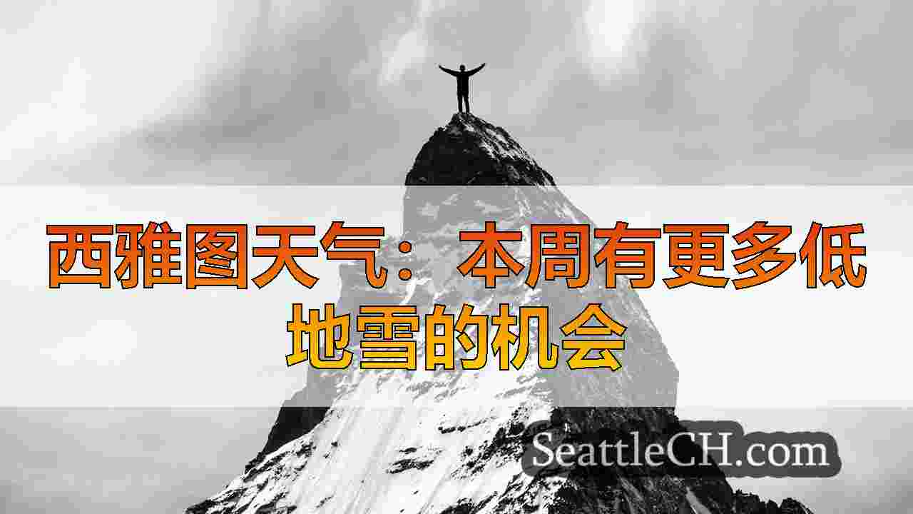 西雅图新闻 SeattleCH