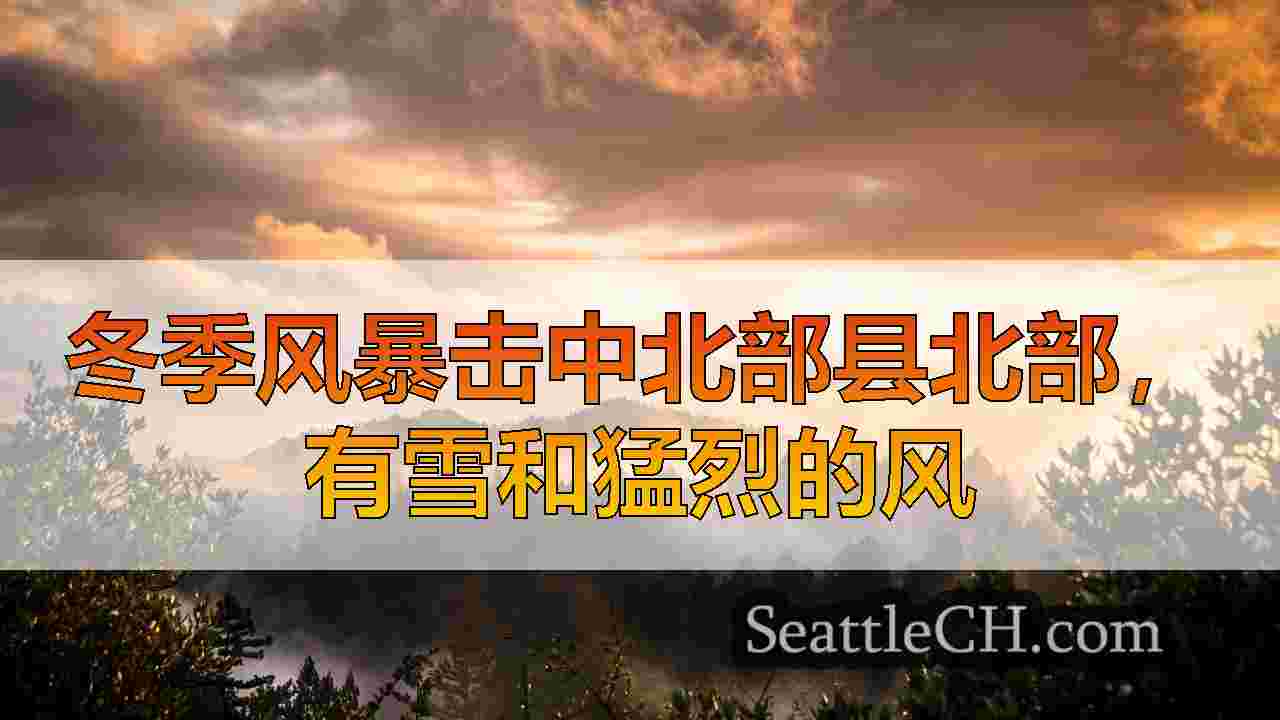 西雅图新闻 SeattleCH