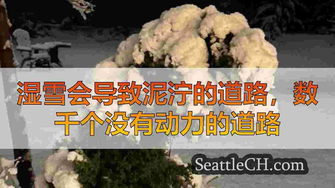 西雅图新闻 SeattleCH