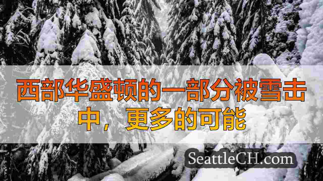 西雅图新闻 SeattleCH