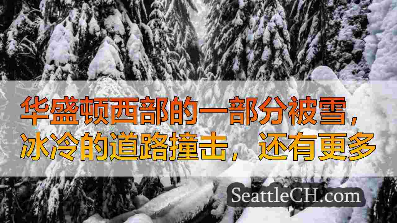 西雅图新闻 SeattleCH