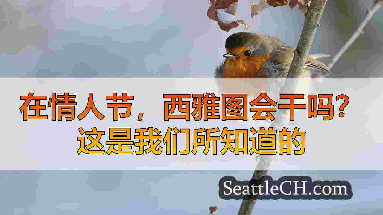 西雅图新闻 SeattleCH
