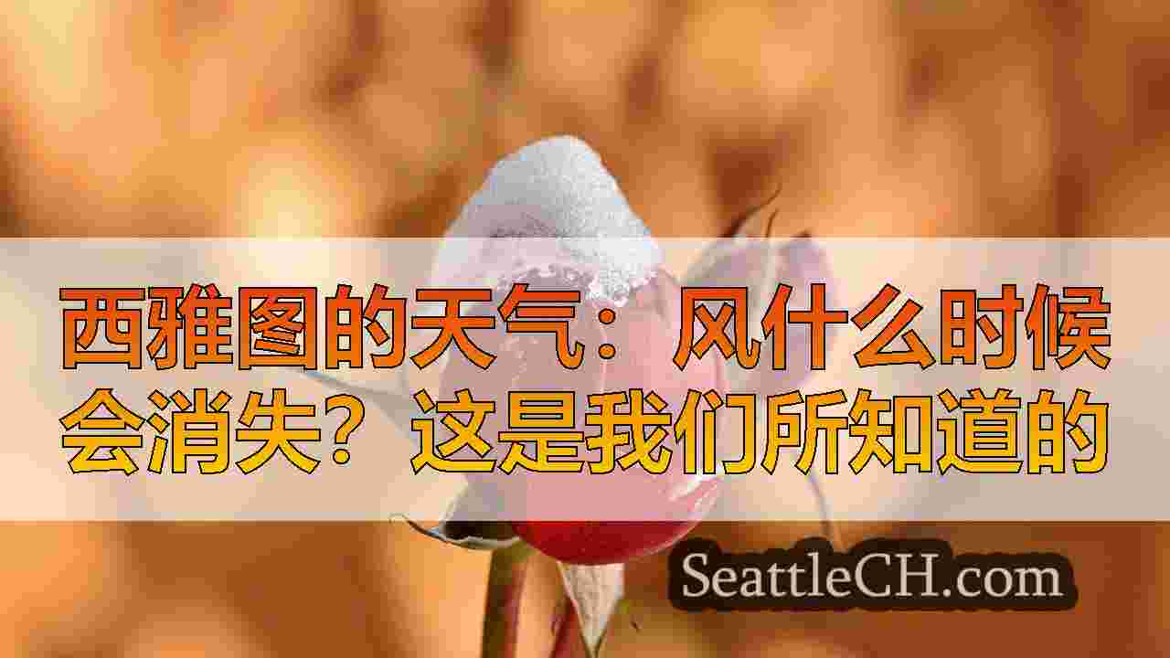 西雅图新闻 SeattleCH
