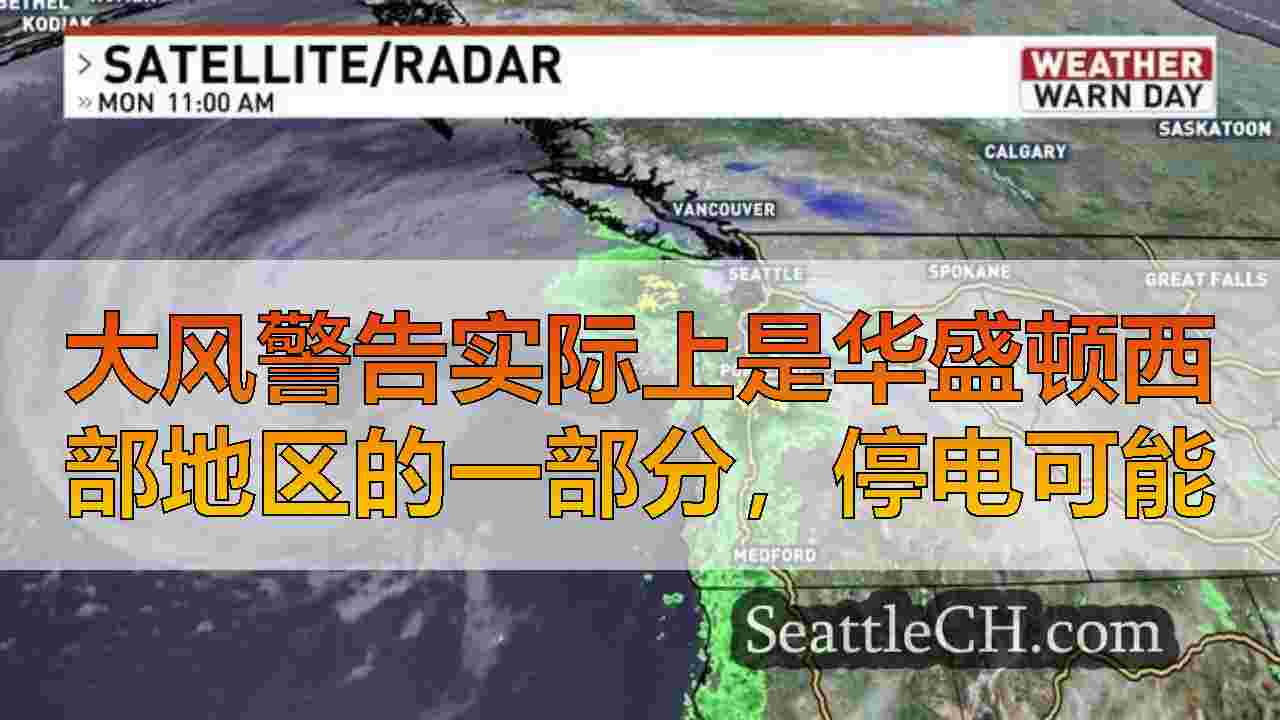 西雅图新闻 SeattleCH