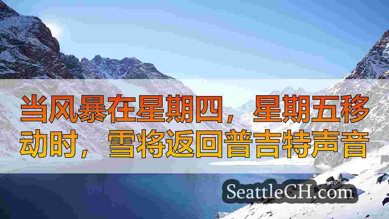 西雅图新闻 SeattleCH