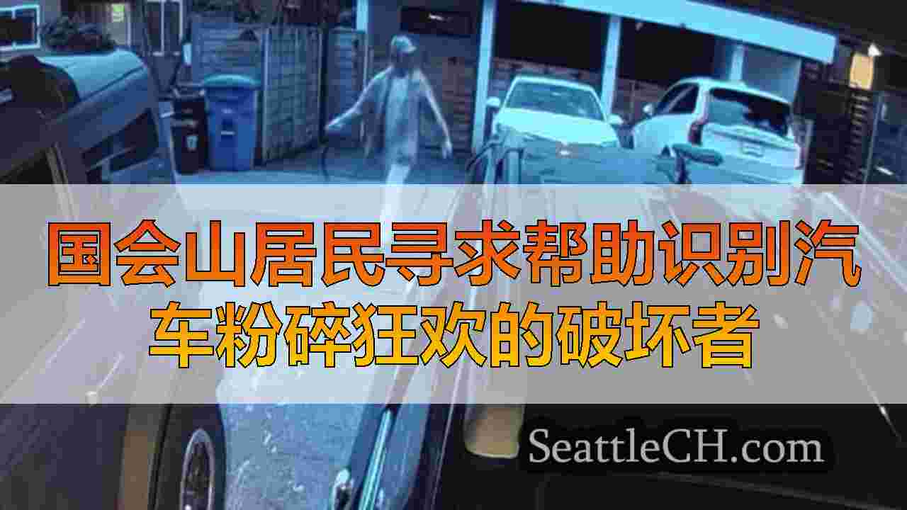 西雅图新闻 SeattleCH