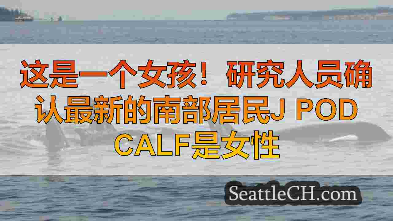 西雅图新闻 SeattleCH