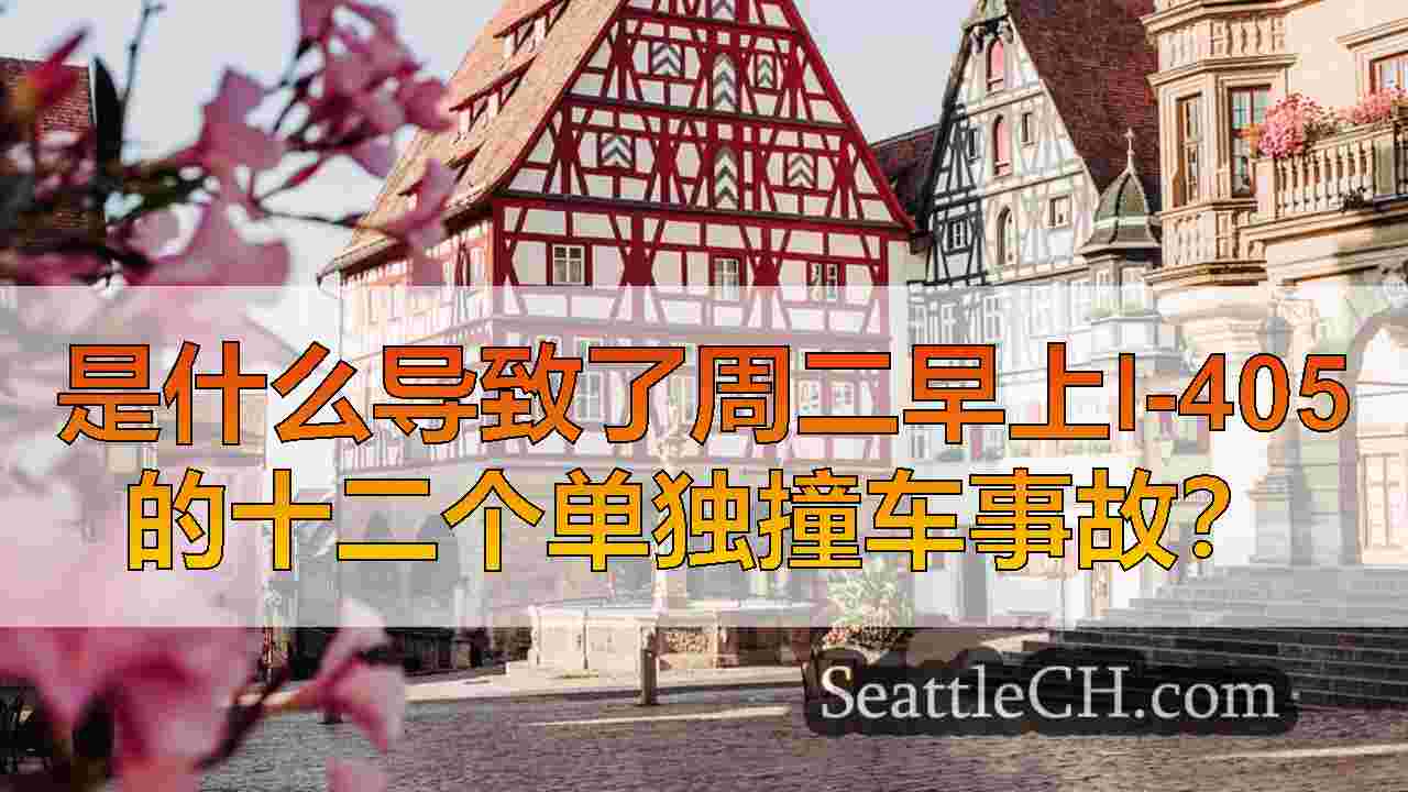 西雅图新闻 SeattleCH