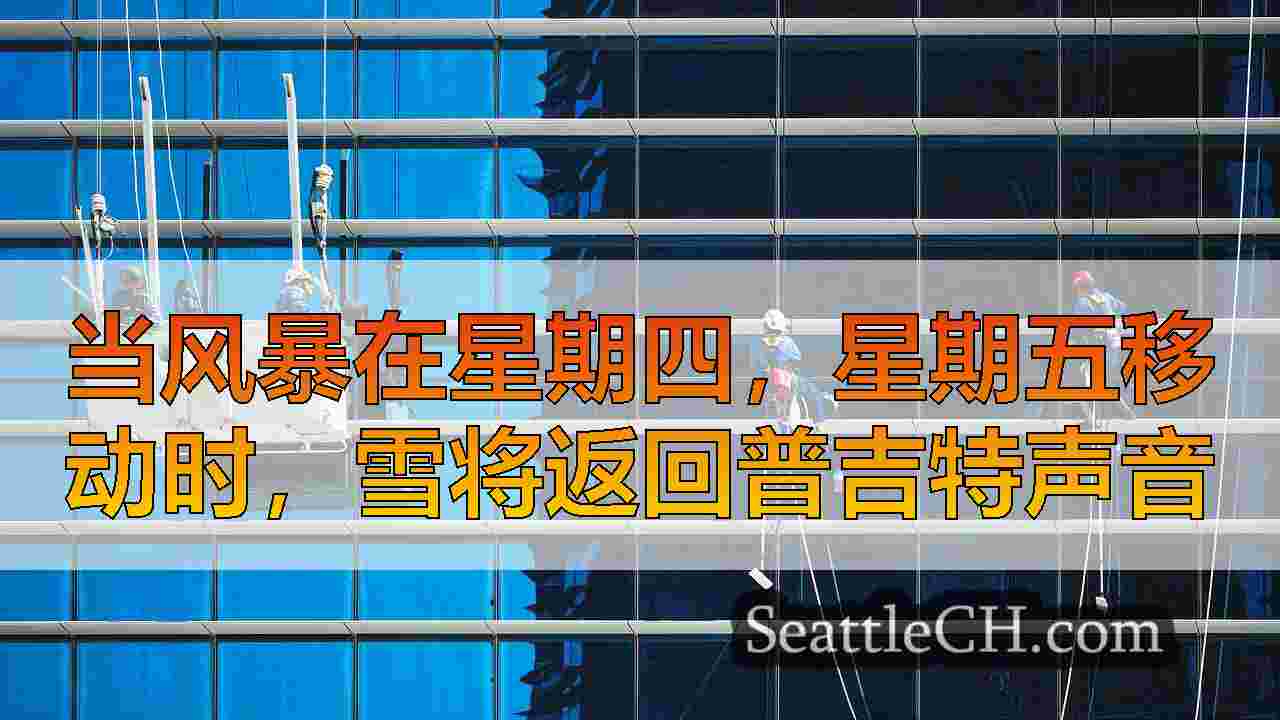 西雅图新闻 SeattleCH