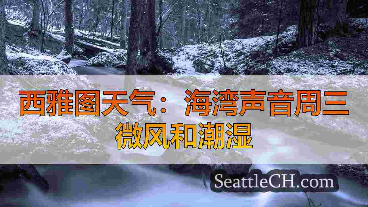 西雅图新闻 SeattleCH