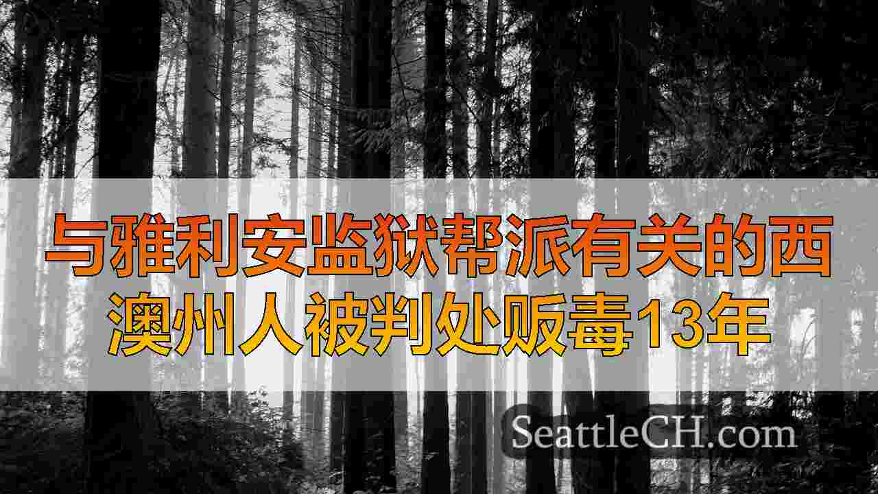 西雅图新闻 SeattleCH