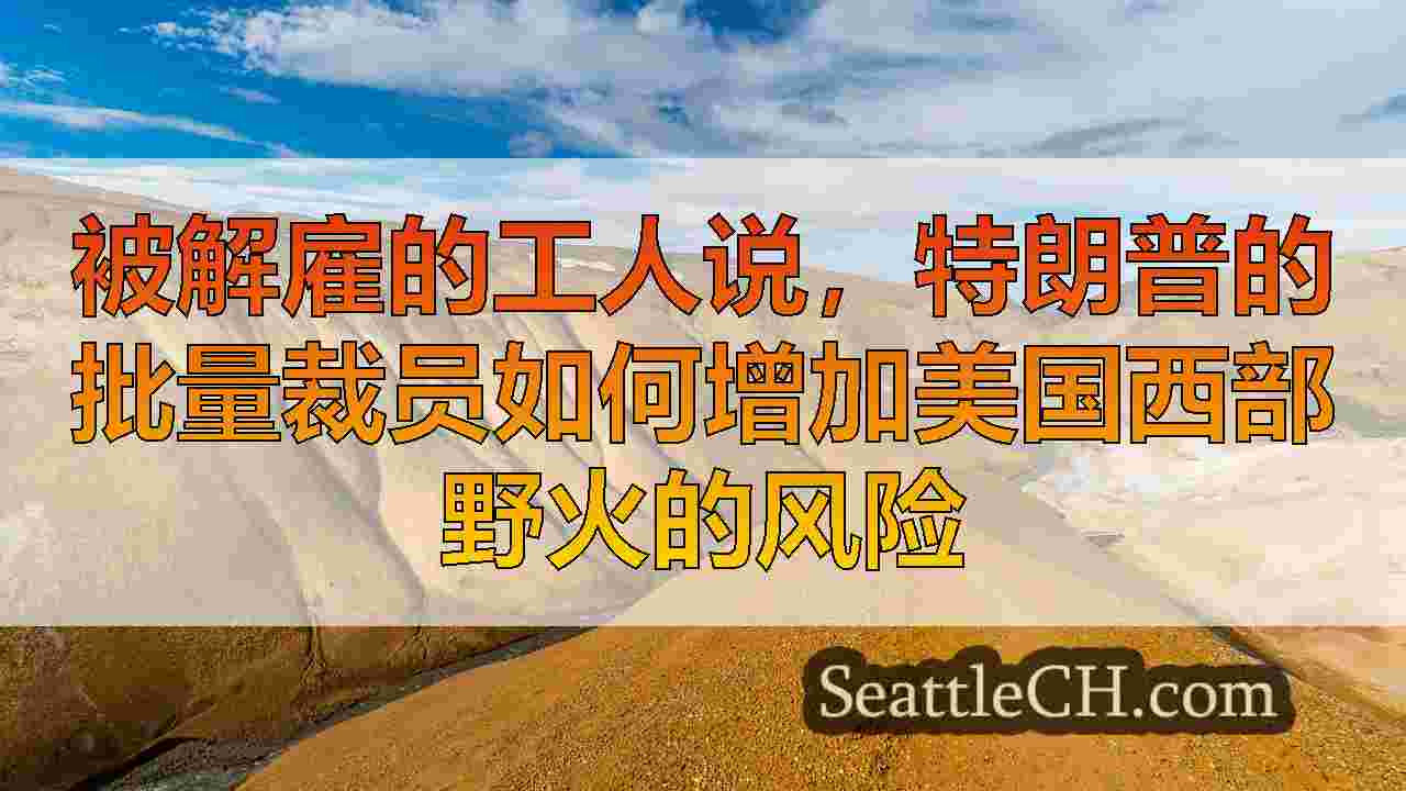 西雅图新闻 SeattleCH
