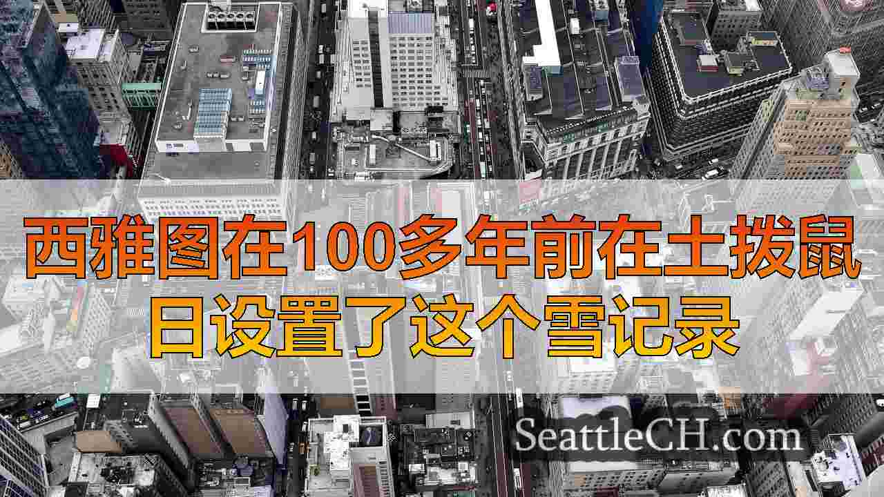 西雅图新闻 SeattleCH