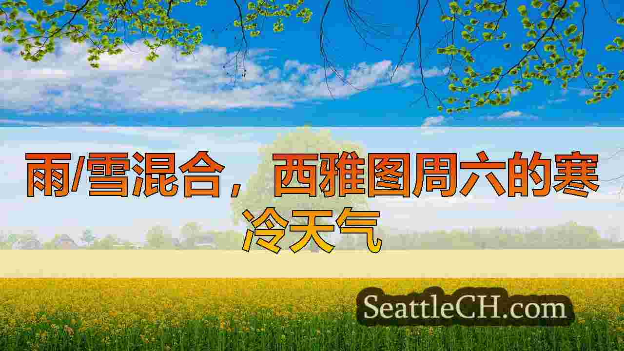 雨/雪混合，西雅图周六的寒冷天气