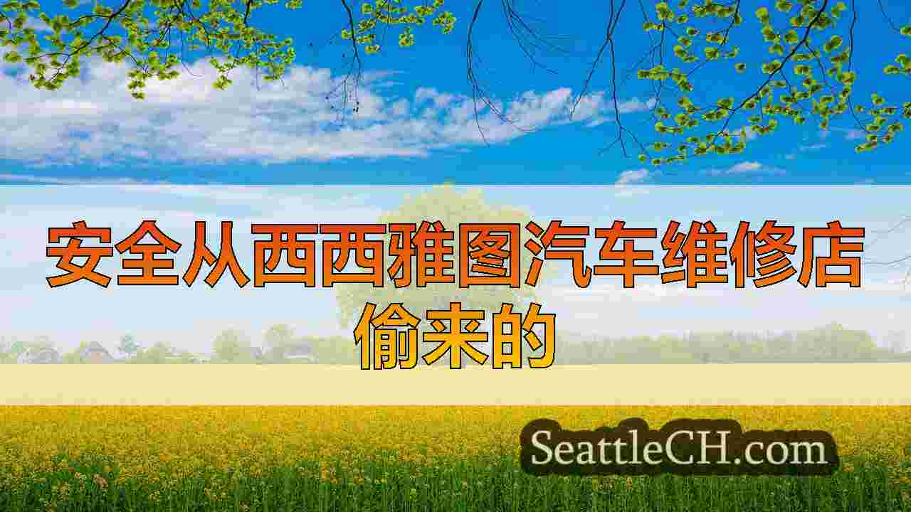 安全从西西雅图汽车维修店偷来的
