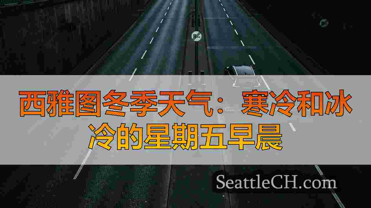 西雅图新闻 SeattleCH