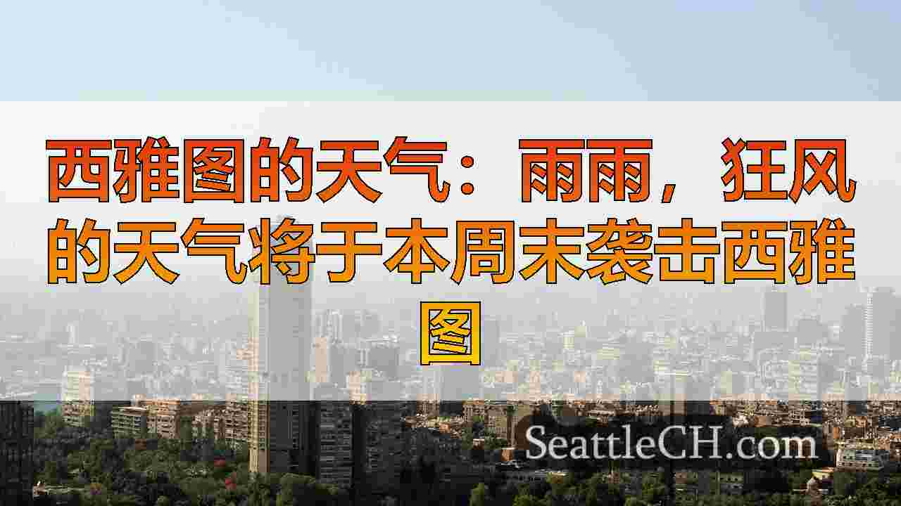 西雅图新闻 SeattleCH