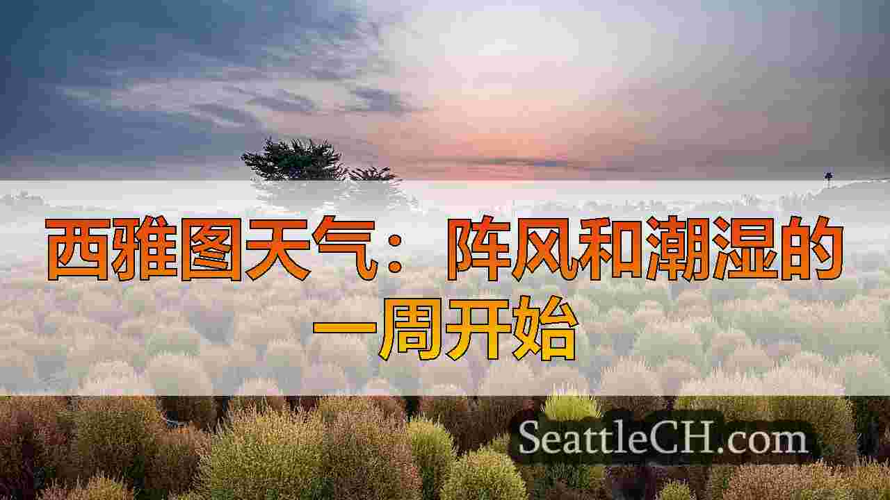 西雅图天气：阵风和潮湿的一周开始