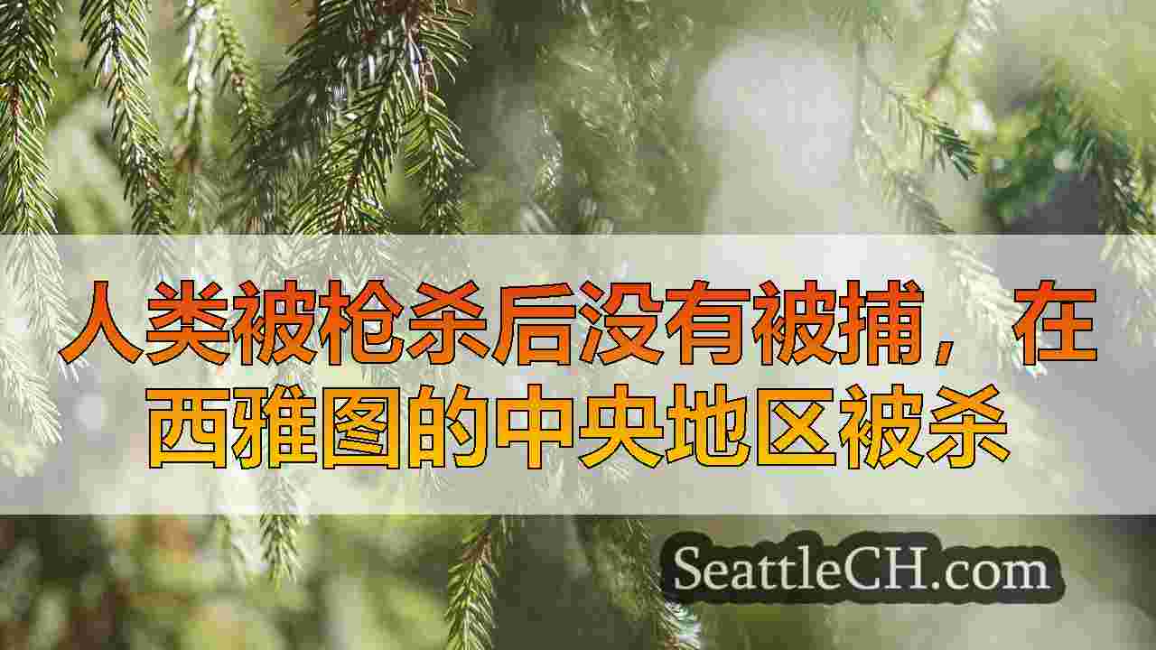 西雅图新闻 SeattleCH