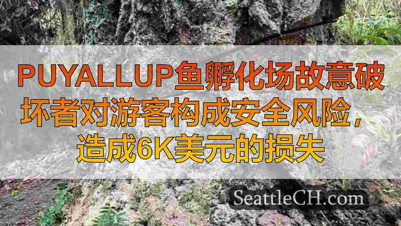 西雅图新闻 SeattleCH