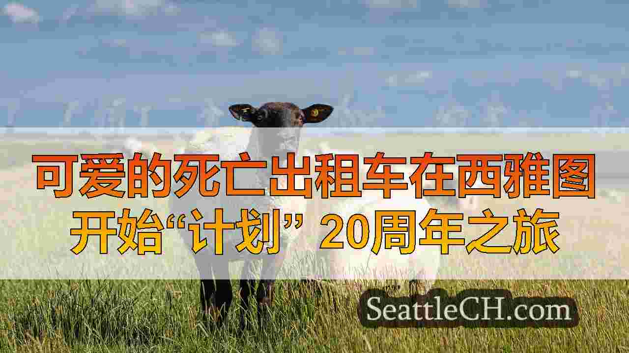 西雅图新闻 SeattleCH