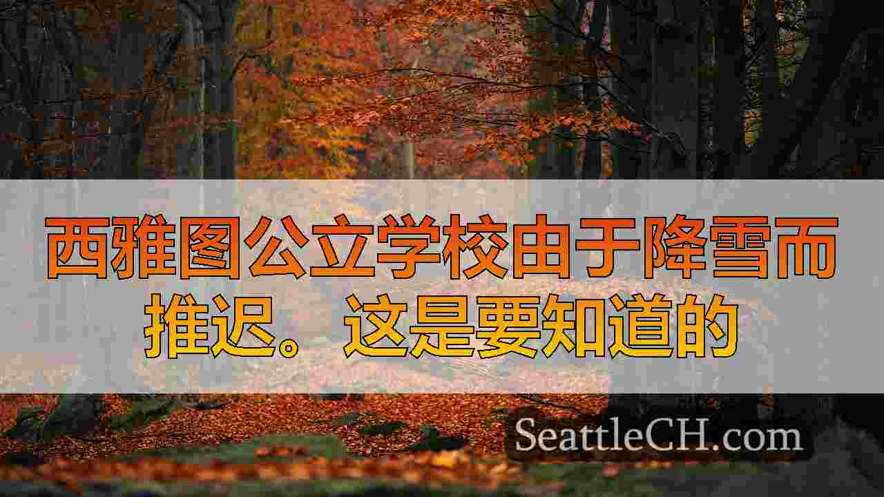 西雅图新闻 SeattleCH
